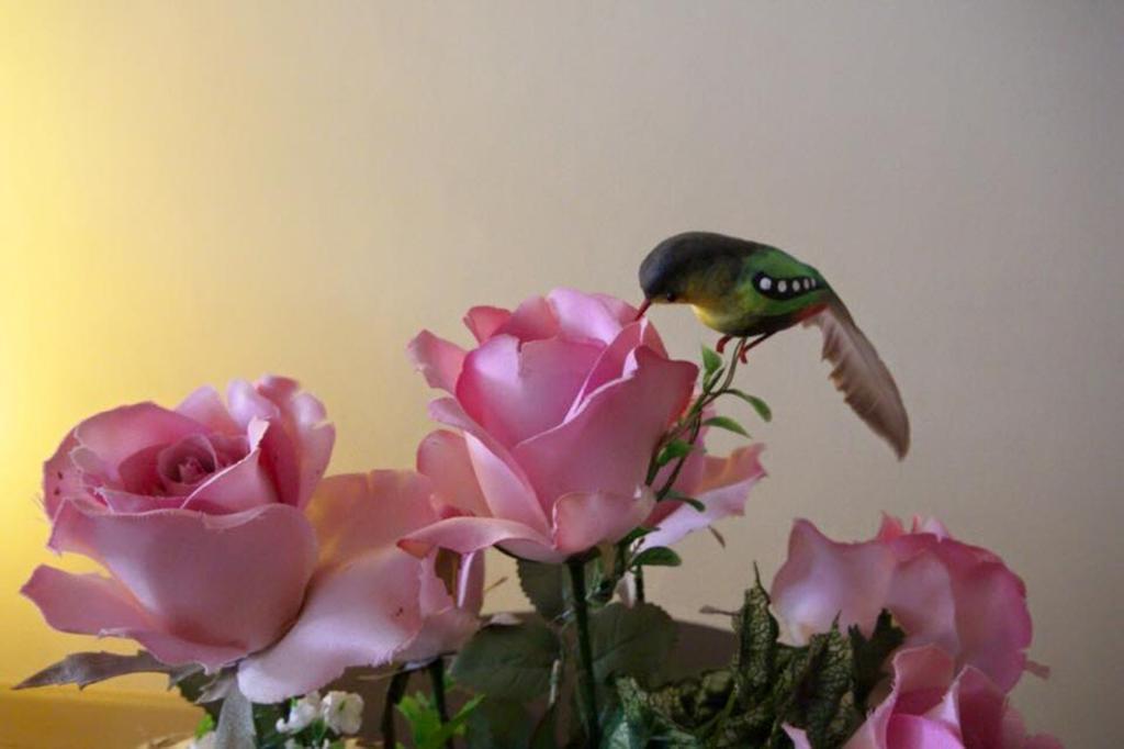 Lotus Suite הואה הין מראה חיצוני תמונה